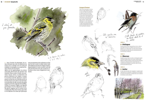 capture-decran-2016-12-01-a-11-45-00