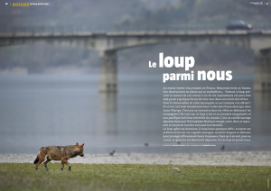 capture-decran-2016-12-01-a-11-45-17