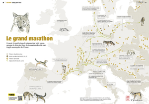 capture-decran-2016-12-01-a-11-47-31