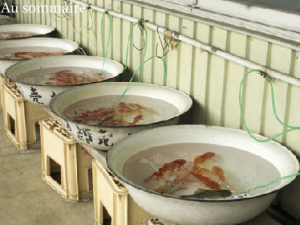 capture-decran-2016-12-01-a-12-18-24