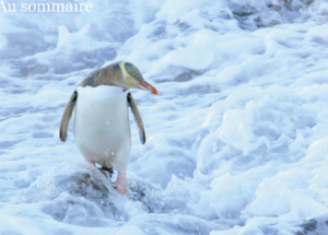 capture-decran-2016-12-01-a-12-18-43