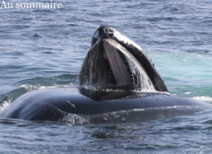 capture-decran-2016-12-01-a-12-26-05