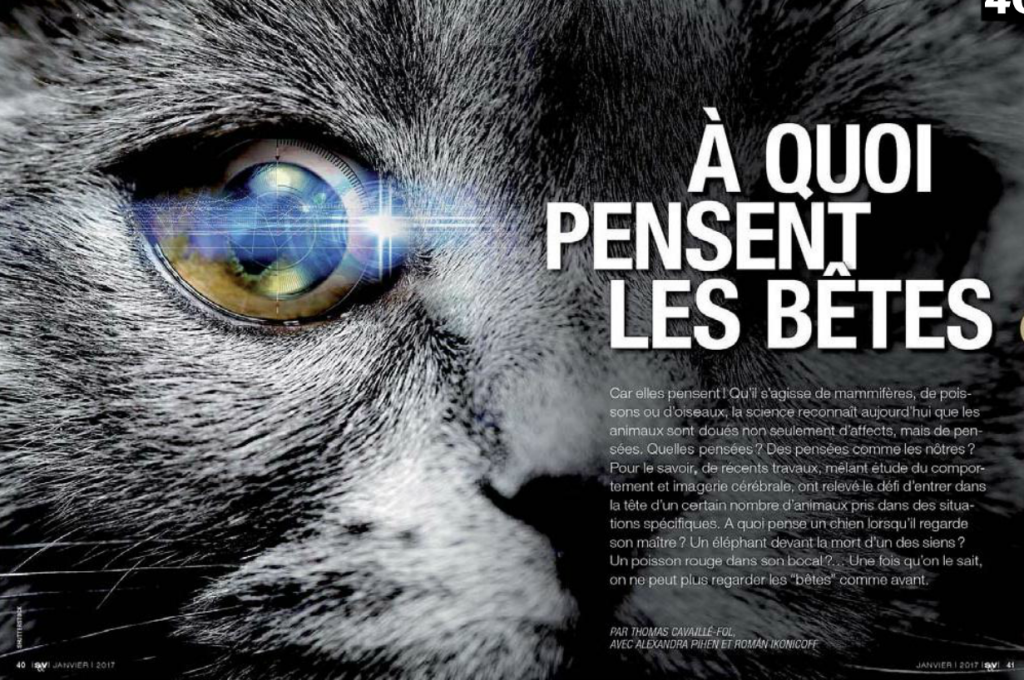 Capture d’écran 2017-01-14 à 19.18.44