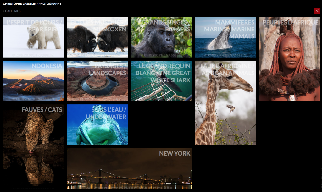 Capture d’écran 2017-02-14 à 08.23.11