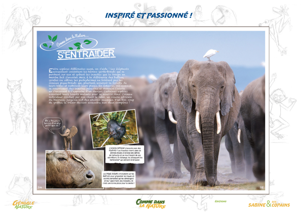 Capture d’écran 2017-02-21 à 13.26.00