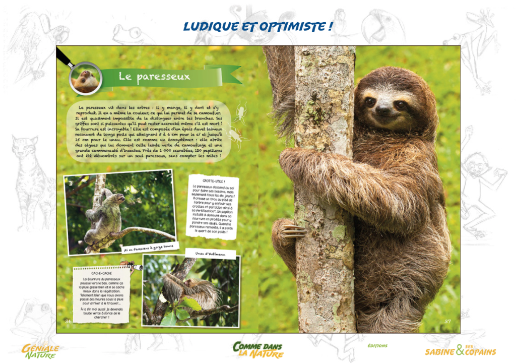 Capture d’écran 2017-02-21 à 13.26.19