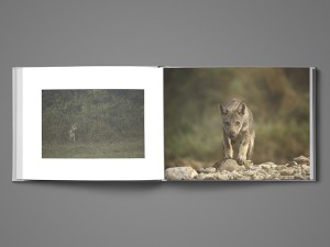 f6e0989316b79f211bbc5acf7b3858