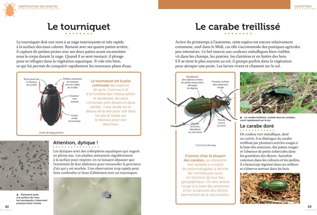 CP Le petit guide entomo