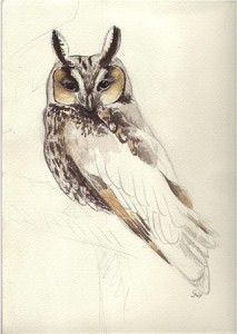 dessin2-1,medium.1448226865