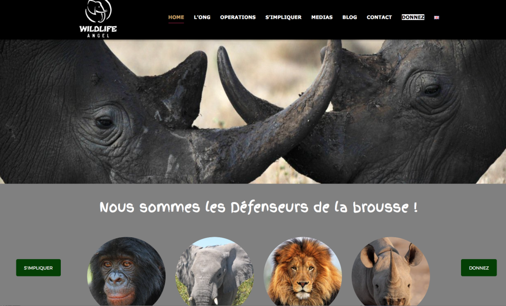 Capture d’écran 2017-05-15 à 21.48.14