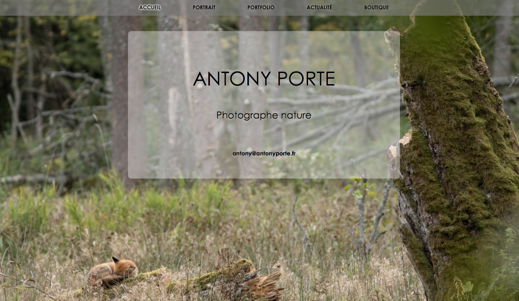 Capture d’écran 2017-05-18 à 20.00.12