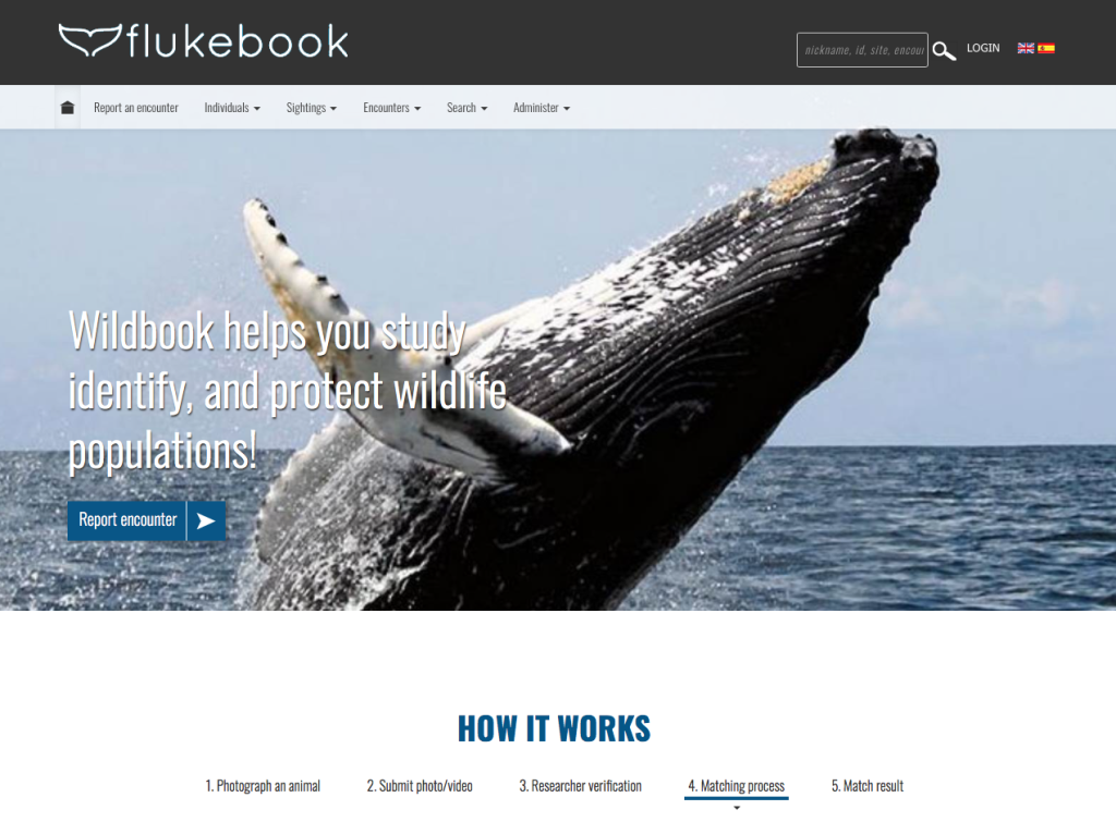 Capture d’écran 2017-07-07 à 08.33.58