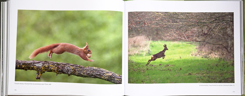 Livre_BVA 124-125