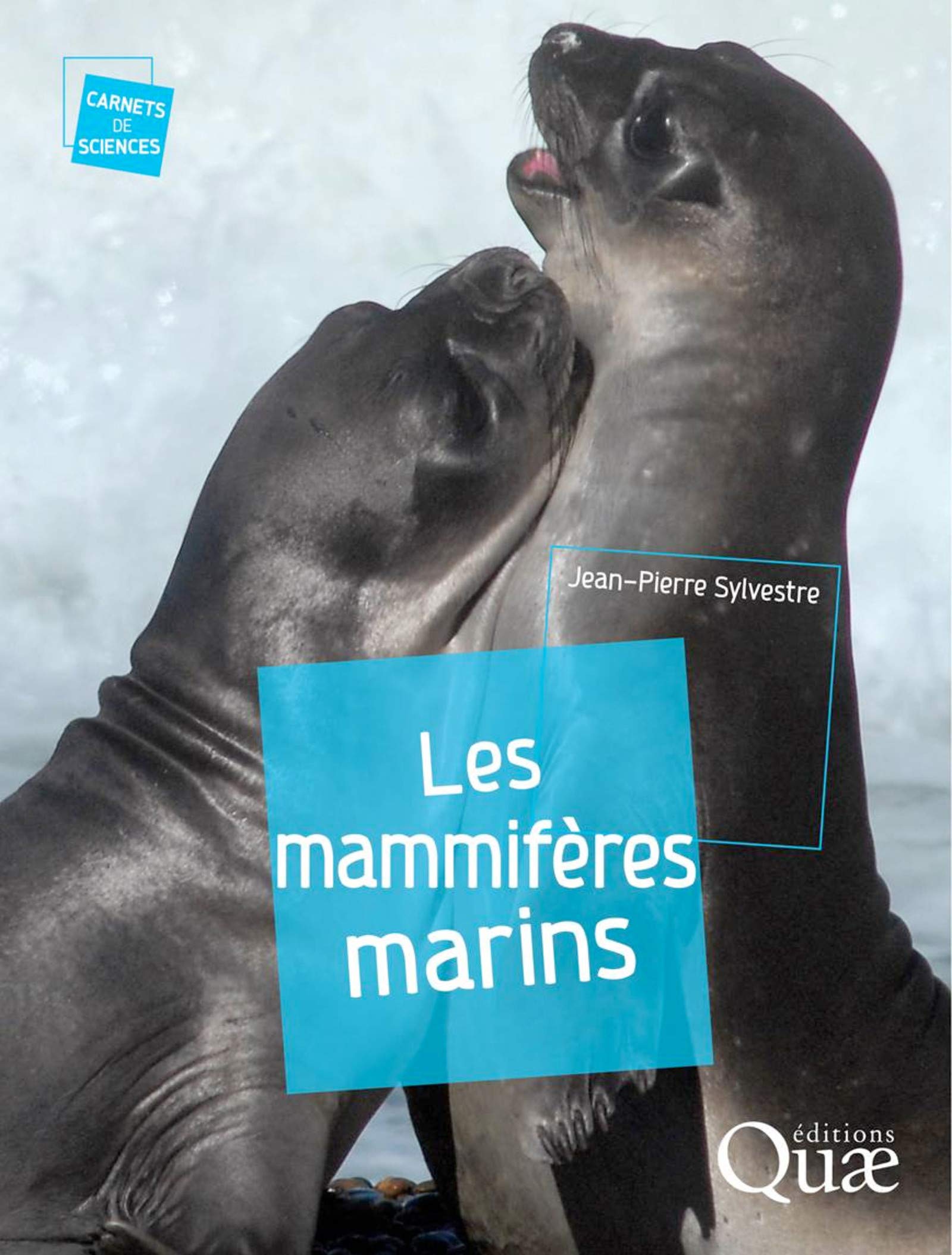 Les mammifères marins - Faune Sauvage