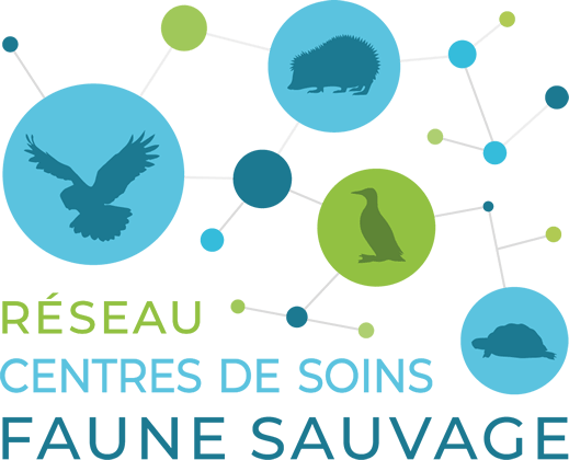 Le Réseau Des Centres De Soins De La Faune Sauvage En France Faune