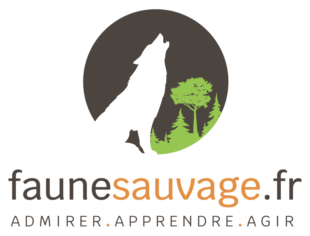 Faune Sauvage