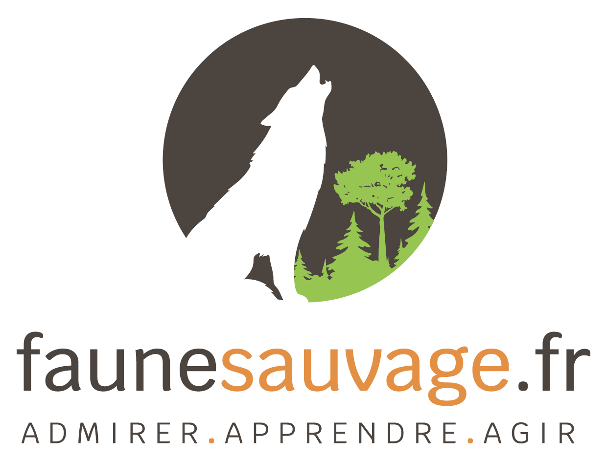 Faune Sauvage