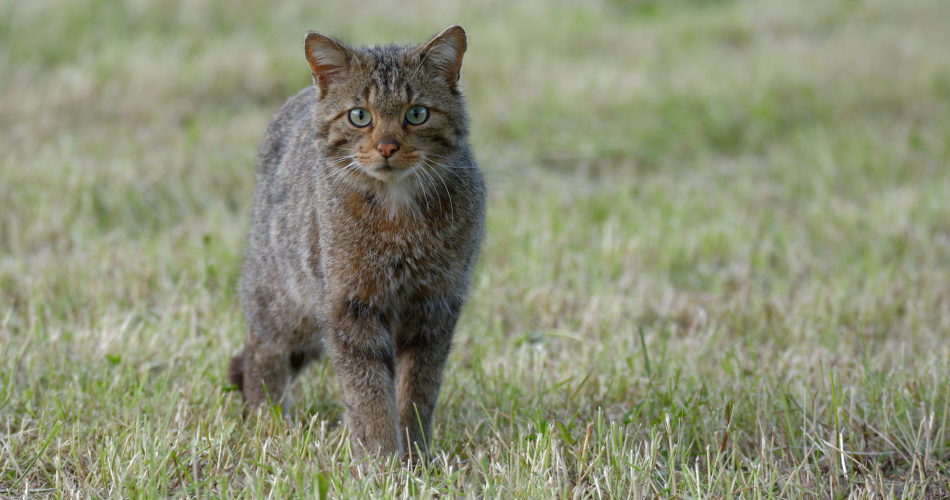 DSC_9937_DxO