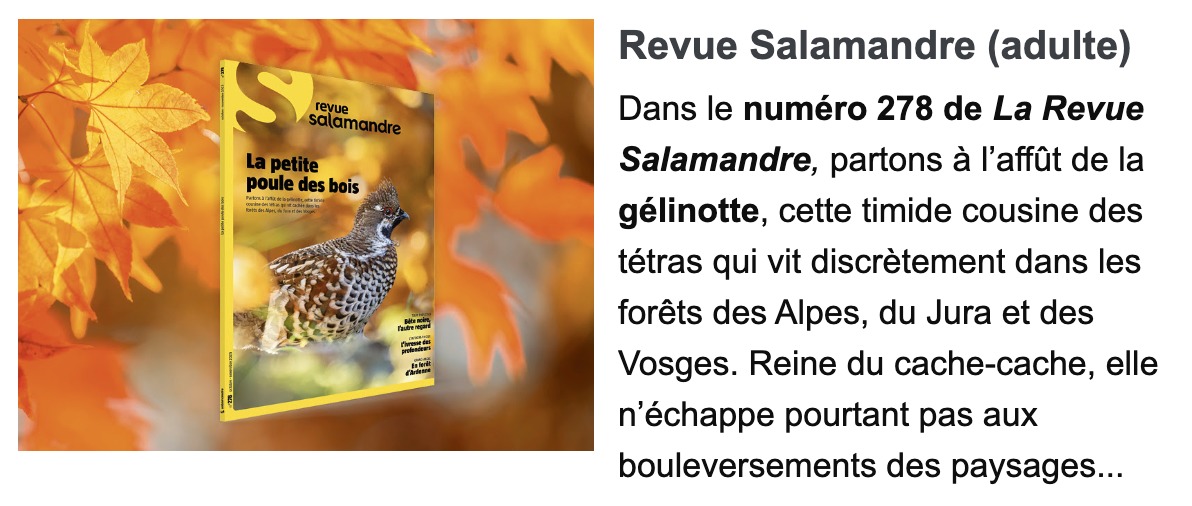 La vallée des loups > Boutique - Salamandre > Boutique - Salamandre