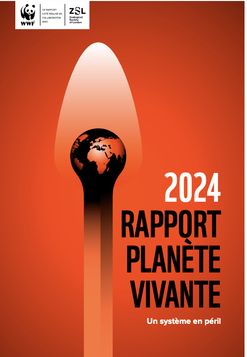 Rapport Planète Vivante 2024 : 73 % des populations de vertébrés sauvages ont décliné depuis 1970