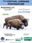 7ème FESTIVAL LORRAINE PHOTONATURE