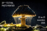 28ème festival de la photo animalière de Montier en Der