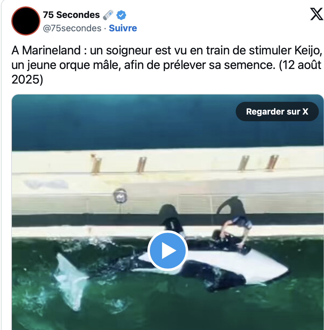 Marineland d’Antibes : les images d’une orque stimulée sexuellement ...