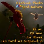 11ème festival photo Spot Nature