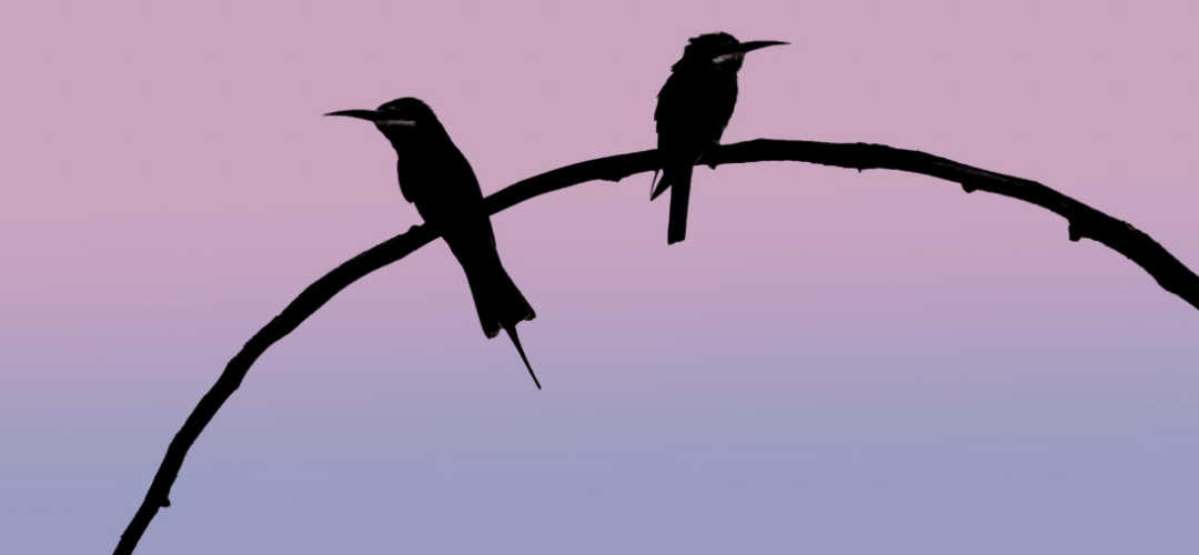 Capture d’écran 2026-03-23 à 04.29.24