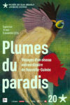 Plumes du paradis